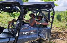 UTV Thrills & Horseback Adventure in Tropical Wildlife Paradise