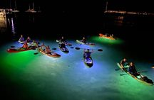 Glow And Discover, Guided Night Kayak Eco Tour in Key West
