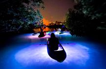 Glow And Discover, Guided Night Kayak Eco Tour in Key West
