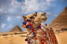 Giza Pyramids Memphis City and Saqqara Pyramid Day tour