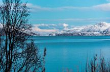 Five Tromso Fjords Tour by Minivan in Four Hours