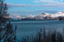 Five Tromso Fjords Tour by Minivan in Four Hours