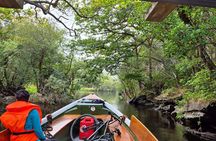 Park Explorer Tour (Half Day Tour)