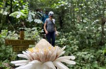 Explore The Mountains - Hiking and Waterfalls in Puerto Rico