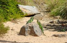 All-Inclusive Local Guided Pinel Island Tour