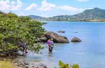 Snorkeling, Swimming, and Hiking in Pinel Island