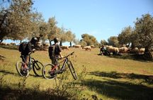 Granada: Nature, Wildlife and Authentic Villages E-bike Tour