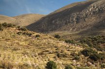 Granada: Nature, Wildlife and Authentic Villages E-bike Tour
