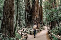 Muir Woods & Sausalito: Small Group Experience 
