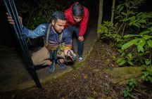 Monteverde Cloud Forest Guided Night Walk