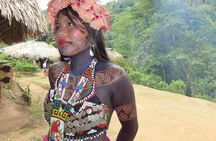 Visit an Embera tribe: Hike, Waterfall, Culture & Lunch