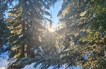Snowshoe Through Vancouver's Winter Wonderland