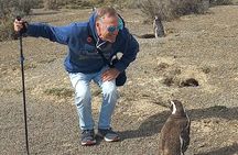 Excursion to Punta Tombo to See Penguins from Puerto Madryn