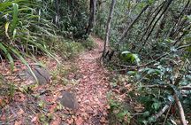 St Lucia Billy Goat Trail Hike in Marigot Bay Saint Lucia