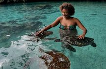 Salaam Cave Zanzibar (Turtles Santuary) 