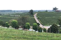 Chiang Rai Join Day Tour