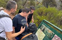 Morialta Falls Hike: Trails and Tales with a Foreign Flair