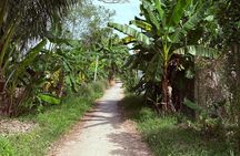 Can Tho Countryside Bike Tour with Fruit Garden Visit