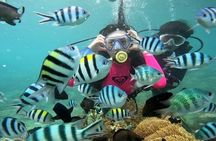 Coral Reef Snorkeling and Floating Bar Party from Nha Trang