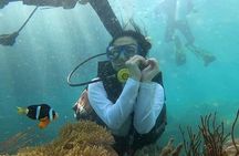 Coral Reef Snorkeling and Floating Bar Party from Nha Trang