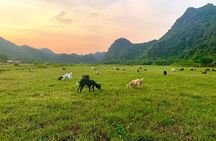Hanoi: 3-Day Discover the most stunning Cat Ba Island, Lan Ha Bay