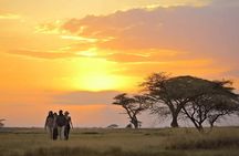 Serengeti Great Migration 5 Days Mara River crossing