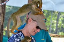 Monkey Mania Puerto Plata