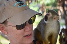 Monkey Mania Puerto Plata