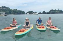  Jaco Stand Up Paddle Tour on White Sand Beach Excursion