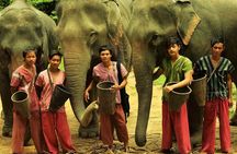Small Group immersive Elephant Sanctuary & Karen Tribe life