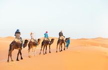 Luxury Sahara Desert Tour from Marrakech : 4-Day to Fes