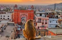 Explore Local Experience Jaipur Sightseeing Tour by Car + Guide 