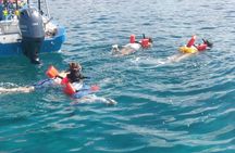 Roatan Snorkeling Shore Excursion Sanctuary Park and Beach Break