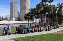 Wyld Things Rydables Tour of Tampa