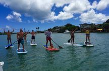 Stand Up Paddle Board Lessons