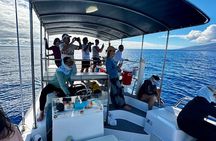 Maui Mid Day Magic Whale Watch 