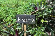 Rocklands Bird Sanctuary & St James Parish Church