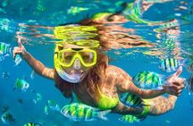 Phuket Phi phi Maya Bay Khai Island Diving Transfer & Buffet