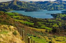 Akaroa Group Day Tour from Christchurch