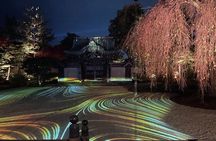 Discover Kyoto at Night by Bike