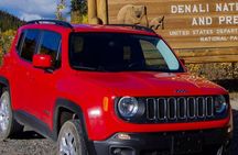 Denali Self-Drive Jeep – Explore at Your Own Pace