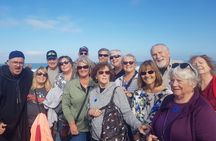 Tangier Luxury Tour Private Guide Plush Van and Camel Bliss