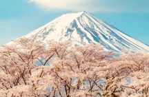 Private Sightseeing to Mt Fuji and Hakone with English Driver