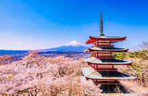 Private Sightseeing to Mt Fuji and Hakone with English Driver