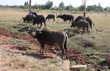KAMPOT- Pepper farm .Cave . Secret Lake & salt fields 