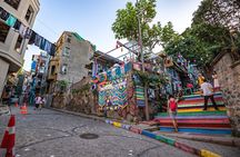 Prıvate Istanbul Tour by Luxury Minivan and Licensed Guide