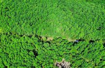Paddle Through Paradise: Mangrove Kayak Adventure