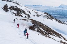 Small Group Snowshoe Hike in Tromso