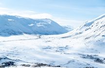 Small Group Snowshoe Hike in Tromso
