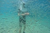 Undersea Helmets
